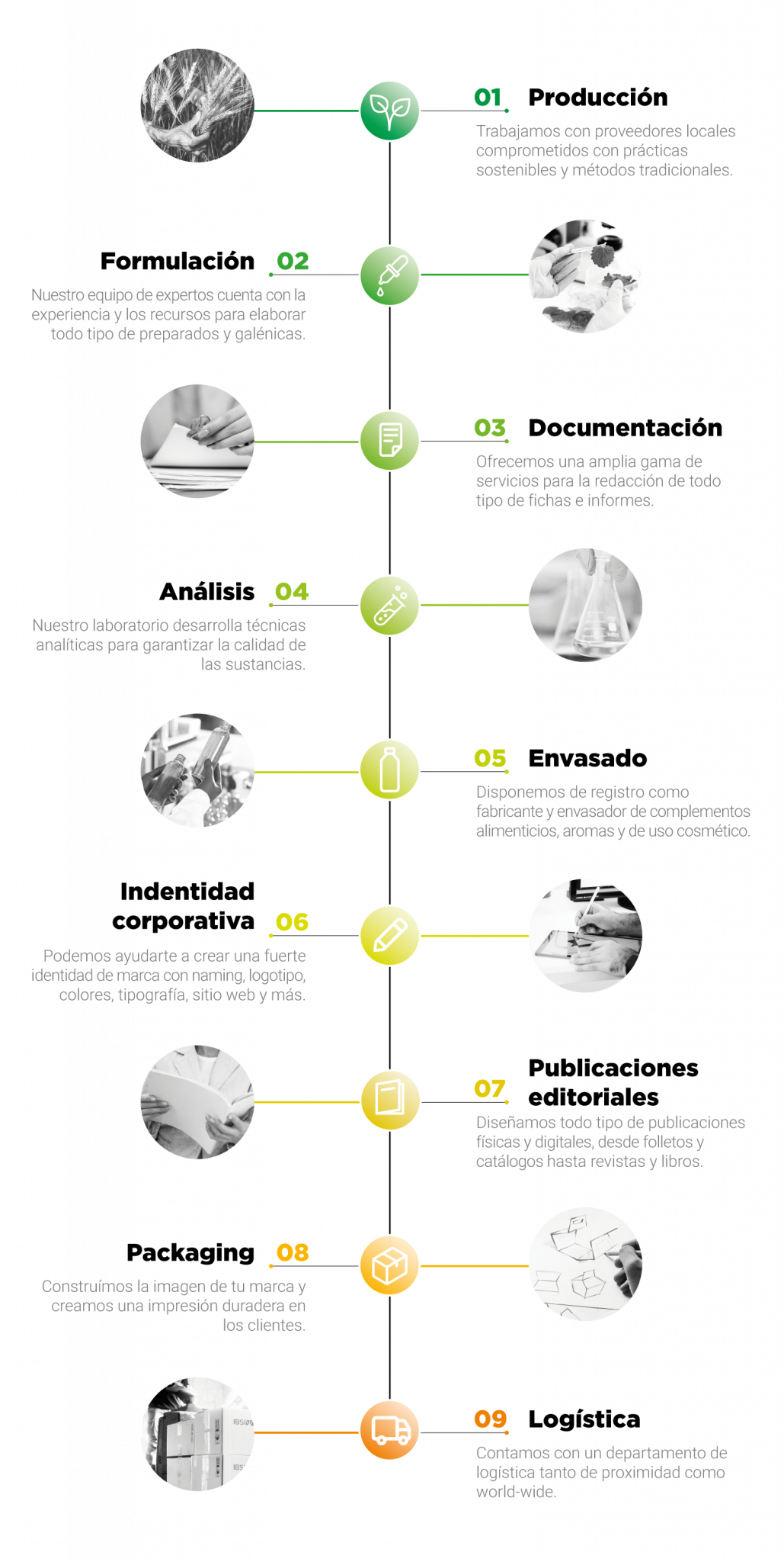 Timeline de servicios