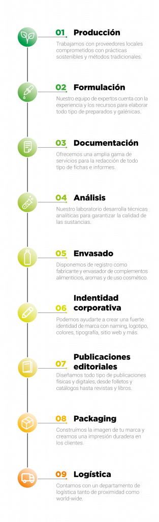Timeline de servicios