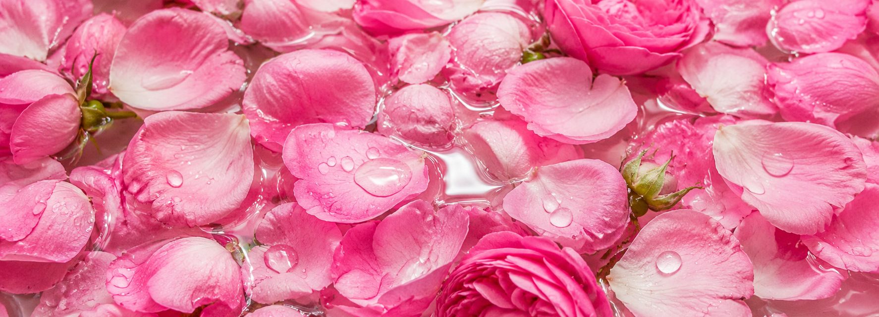 Hidrolato de rosas