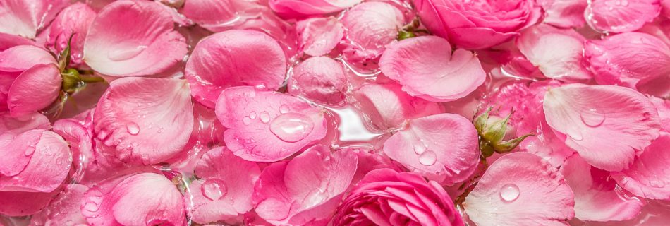 Hidrolato de rosas
