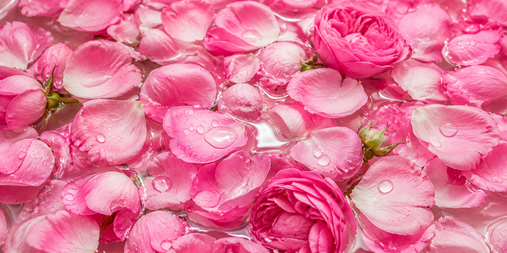 Hidrolato de rosas